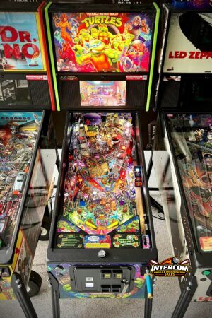 Teenage Mutant Ninja Turtles – Pro