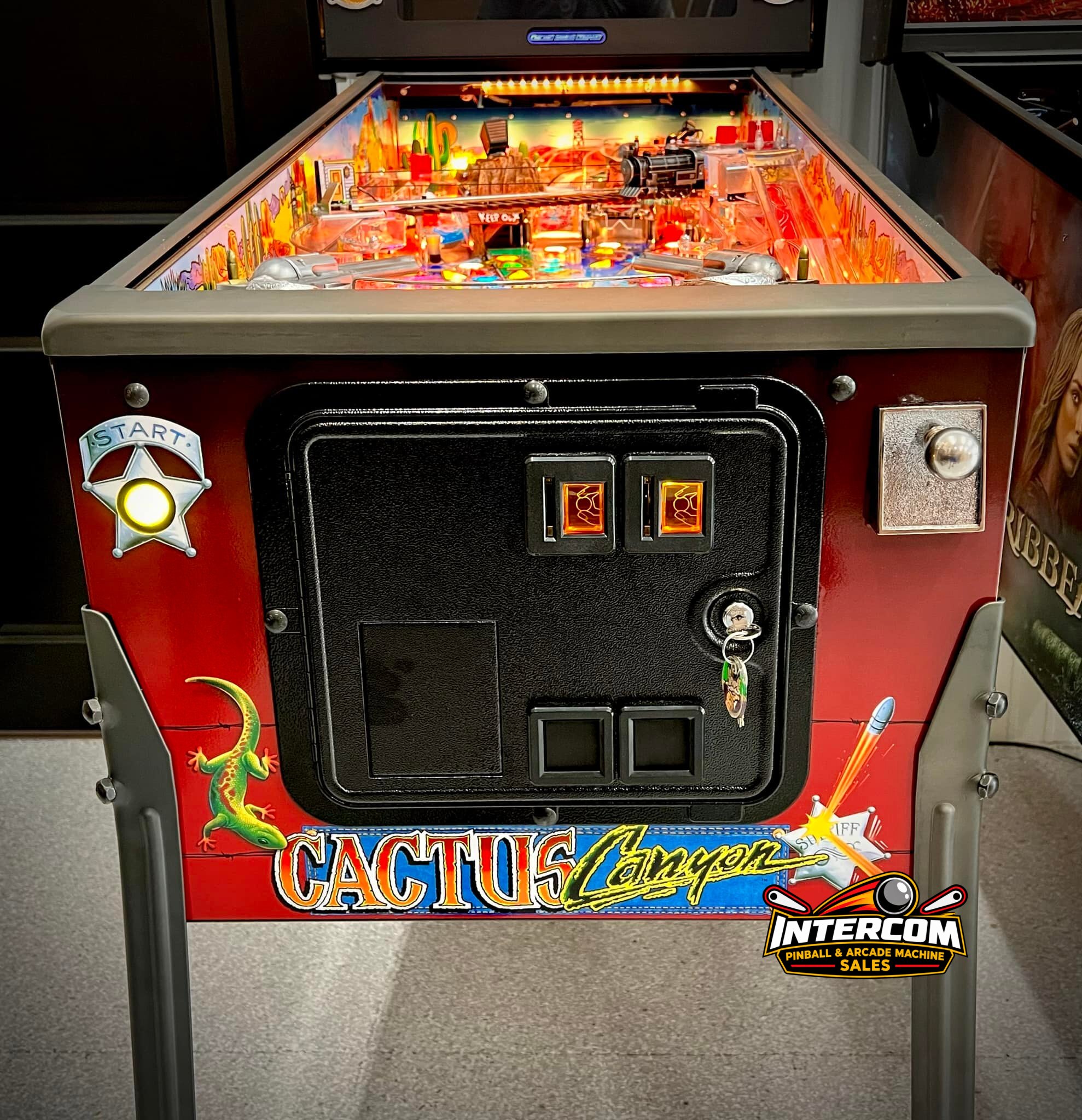 Cactus Canyon Remake LE