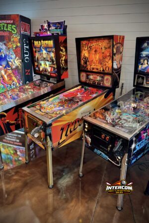Indiana Jones: The Pinball Adventure