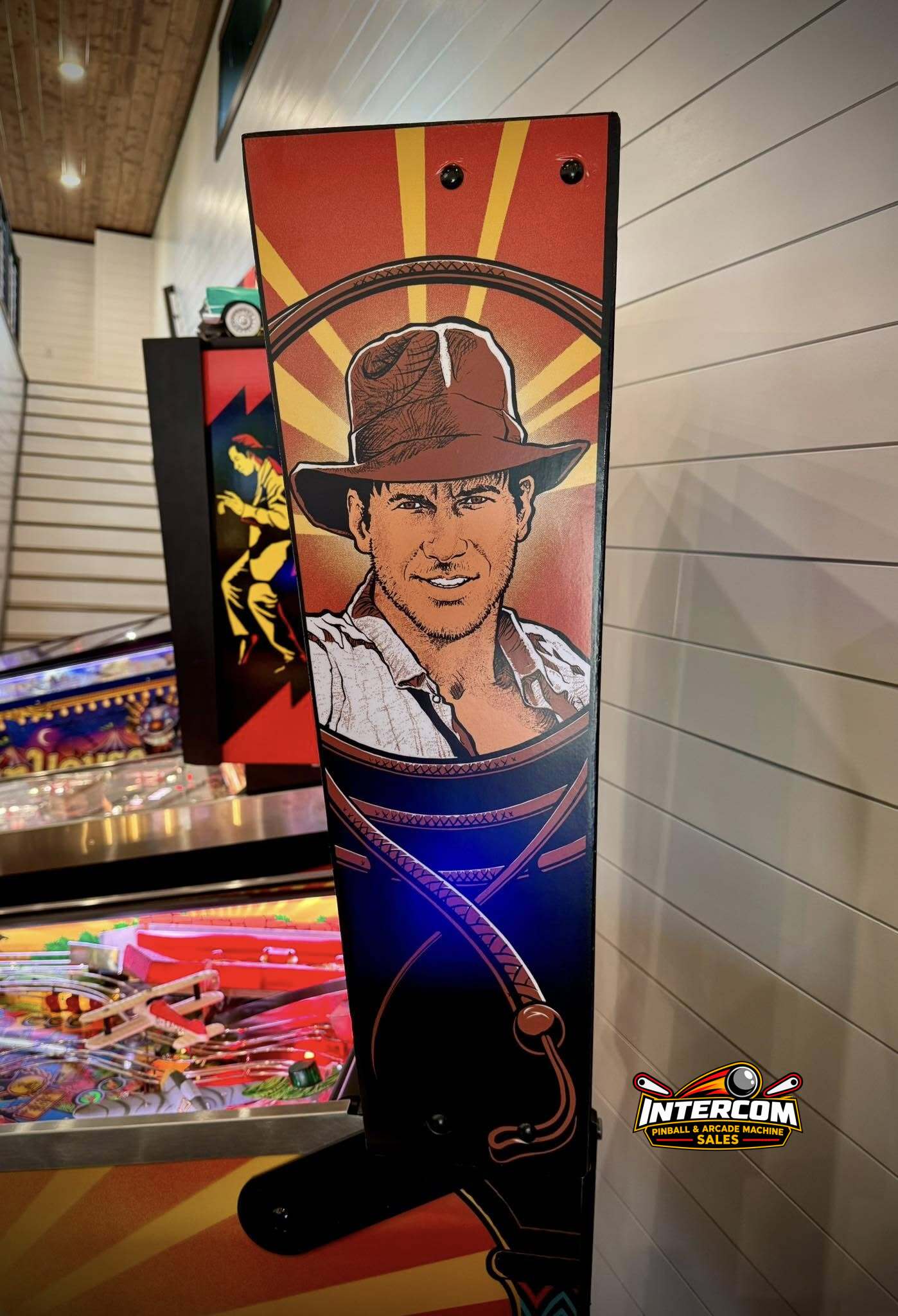 Indiana Jones: The Pinball Adventure - Image 2